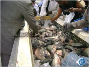 Inside one of Lusaka's Fish markets